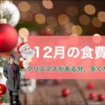 【生活費】大学生同棲カップルの12月の食費＋α