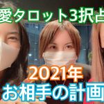 【恋愛タロット3択占い】2021年お相手が考えるあなたとの計画