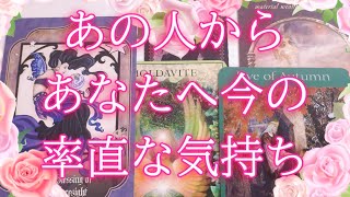 あの人からあなたへ率直な気持ち🙊💞タロットオラクル占い