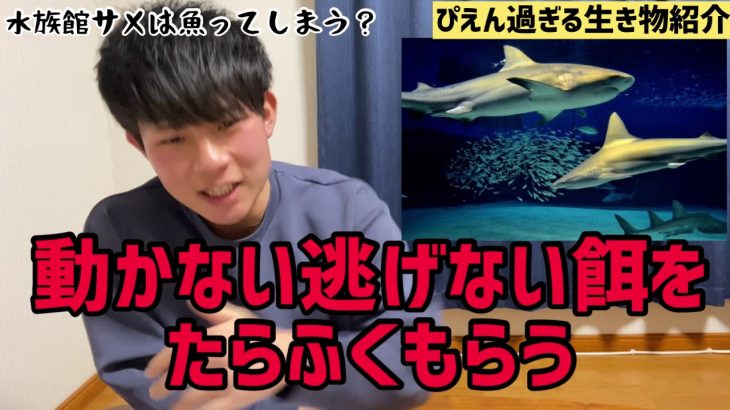 みんなの生き物への疑問を勝手に解決　カップルの話を盗み聞きしたらやば過ぎた