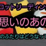 「恋愛タロット」片思いのあの人　半年後のふたりはどうなっているの？