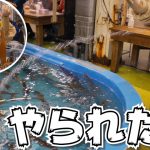 【北海道旅行】函館でイカ釣ってウニ食べて楽しむカップルvlog【日本一周中】