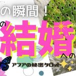 【恋愛・結婚】💗今この瞬間！あの人の結婚への本心💕真剣なのは私だけ？🌈見た時がタイミング🔮タロット＆オラクルカードリーディング💫エナジーチェックイン🦋(2021/2/22配信）