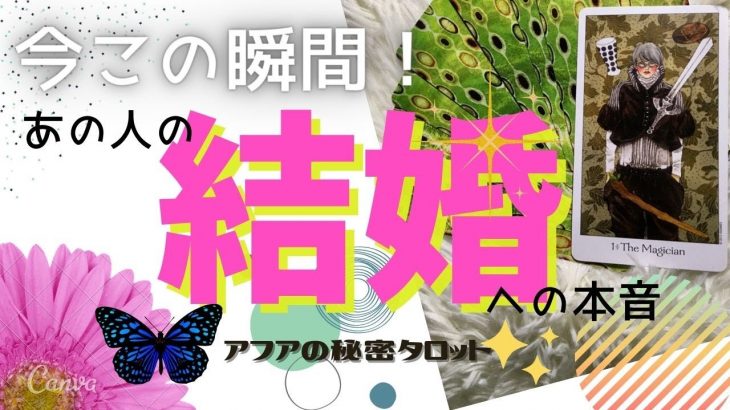 【恋愛・結婚】💗今この瞬間！あの人の結婚への本心💕真剣なのは私だけ？🌈見た時がタイミング🔮タロット＆オラクルカードリーディング💫エナジーチェックイン🦋(2021/2/22配信）