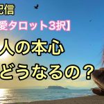 【恋愛タロット3択LIVE配信】どうしたらいいの？何を思っているの？あの人の本心徹底解剖！