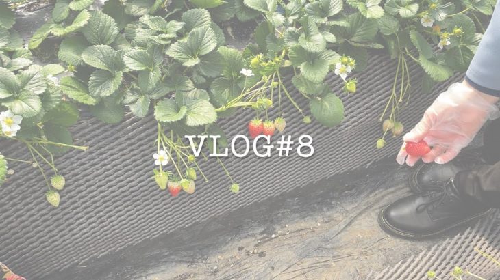 【VLOG】#8.ドライブ いちご狩り アウトレット 大学生カップルのデートvlog