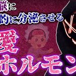 “恋愛ホルモン”を相手の脳に意図的に分泌させ、恋に落ちた時の状態を作ろう【恋愛脳科学】