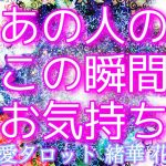 【あの人の今この瞬間💘あなたへのお気持ち💓】  恋愛タロットリーディング 【さくさく三択💫✨】あなたの魅力にメロメロなお相手様😳💕