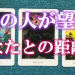 辛口鑑定❗️あの人が望むあなたとの距離感【恋愛タロット占い】