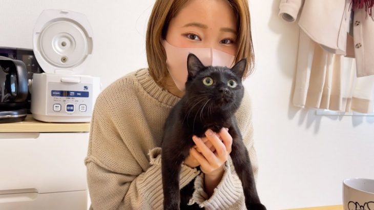 ちょっと忙しいけど楽しい、猫2匹と年の差カップルの休日【日常】