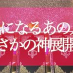 今後あの人と神展開はある⁉️怖いほど当たる🥺恋愛💘願望実現🌟タロット＆オラクルカードリーディング🔮3択🔮