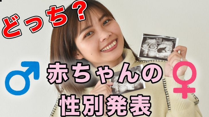 【どっち？】赤ちゃんの性別発表！ 男の子？ 女の子？（妊娠中期 5ヶ月21週）｜日本人・ベトナム人の国際結婚カップル