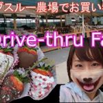 【国際カップル】農場でプチ英会話・Drive-thru farmer’s market