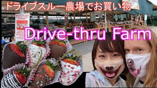 【国際カップル】農場でプチ英会話・Drive-thru farmer’s market