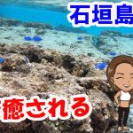 【旅行#1】石垣島でシュノーケリング【年の差カップル】