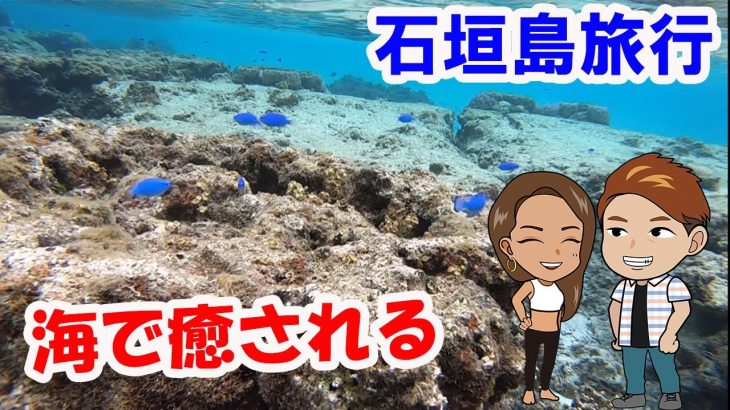 【旅行#1】石垣島でシュノーケリング【年の差カップル】