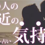 【恋愛タロット】あの人の最近の気持ち🌸あの人の現状や過去現在未来の気持ち💖🌈🎯怖いほど当たる細密リーディング【タロット占い3択】