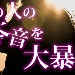 【恋愛タロット】あの人の本音を大暴露❣あなたの印象、お願いしたいこと、惹かれたところとふたりの現状について等々⌚🌈🌸🎯怖いほど当たる細密リーディング【タロット占い3択】