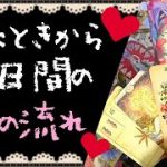 こっから7日間の恋占い❤恋愛タロット占い