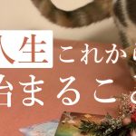 人生これからはじまっていくこと😊🌈🔮運命・恋愛・お仕事リーディング！タロット＆オラクル＆ルノルマン占い