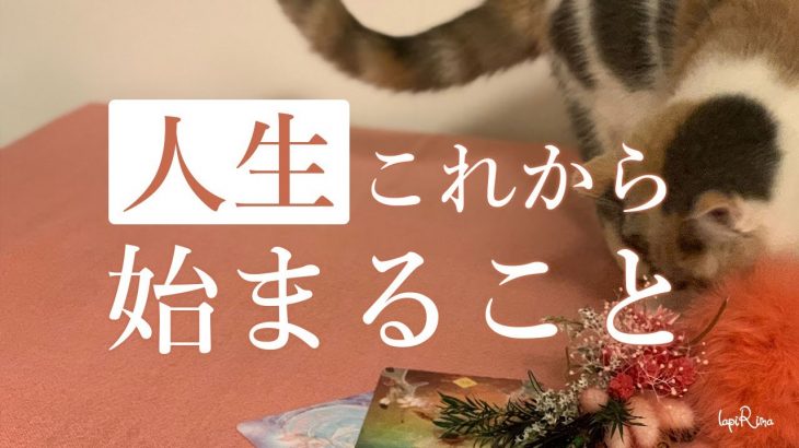 人生これからはじまっていくこと😊🌈🔮運命・恋愛・お仕事リーディング！タロット＆オラクル＆ルノルマン占い