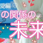 恋愛編　✨この関係の未来✨【タロット、占い、カードリーディング  】