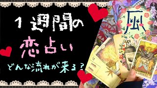 １週間の恋占い❤作戦会議❤恋愛タロット占い