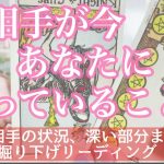 【恋愛】お相手が今あなたに思っていること💌🕊【タロット】現在の状況やあなたのお気持ち、そしてこれから✨関係性が、未来により良くなるためにできることは？✨