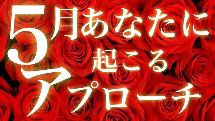 🌹タロット占い🌹誰にされる⁉️５月に起こる恋愛アクション&アプローチ✨種類や受け取る為のアドバイス💖驚く程当たる恋愛タロット&オラクルカードリーディング💕