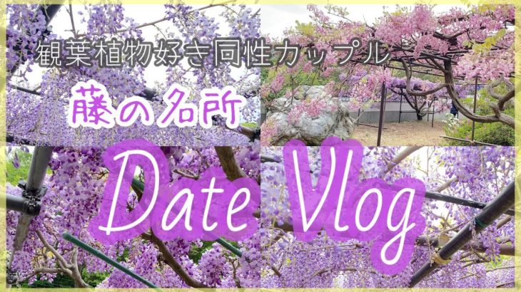 【vlog】藤の名所デート | 観葉植物好きカップル | 購入した植物紹介【同性カップル】