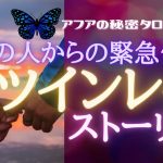 【恋愛タロット】💗今この瞬間🦋あなたに届いたツインレイ・ストーリー💞あなたとあの人のソウルジャーニー🌈見た時がタイミング🔮タロット＆オラクルカードリーディング💫チャネリング(2021/5/22配信）