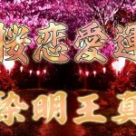 【恋愛運と心願成就】4分でフル充電！夜桜の魅力と愛のパワーで心を満たす【愛染明王真言】