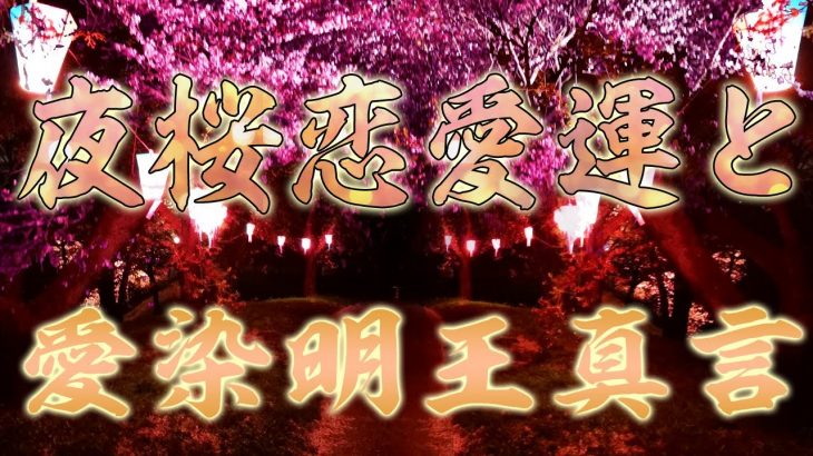 【恋愛運と心願成就】4分でフル充電！夜桜の魅力と愛のパワーで心を満たす【愛染明王真言】