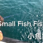 【カップル釣り/Couple Fishing】小魚釣り/Small Fish Fishing