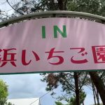 いちご狩り　大分県　杵築市　浜いちご園　家族　カップル　ひとり　食べ放題　穴場　お出かけ　おでかけ　GW ゴールデンウィーク