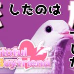 【ハートフルボーイフレンド】鳩としか恋愛できない稀有なゲームをやります #雨風コラボ