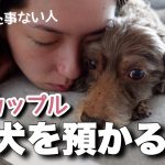 【犬体験】犬ってどうやって接するもの？【同性カップル】#158