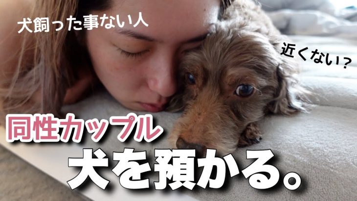 【犬体験】犬ってどうやって接するもの？【同性カップル】#158