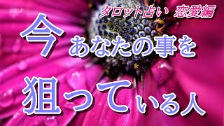 【タロット占い】恋愛💖今、あなたの事を狙っている人💖タロットカード💖オラクルカード💖ヒーリング💖開運💖のほほん系チャネラー