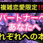 🌶辛口注意🌶【複雑恋愛向け】結構厳しめです⚡️彼のパートナーとあなたへの本音、今後✨