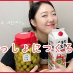 【日韓カップル】ポンコツ夫婦の日常〜梅酒づくり〜