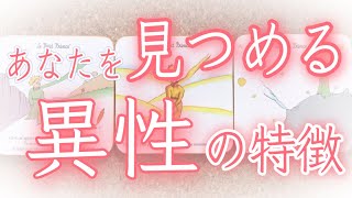 【視線感じてる👀？】💕あなたを見つめる異性の特徴💕【恋愛】【人間関係】【タロット】