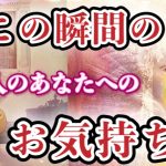 【恋愛タロット】❣️今この瞬間の、あの人のあなたへのお気持ち❣️怖いほど当たる⁉︎🤭【恋愛】【本音】【透視】【当たる】タロット占い&オラクルカードリーディング