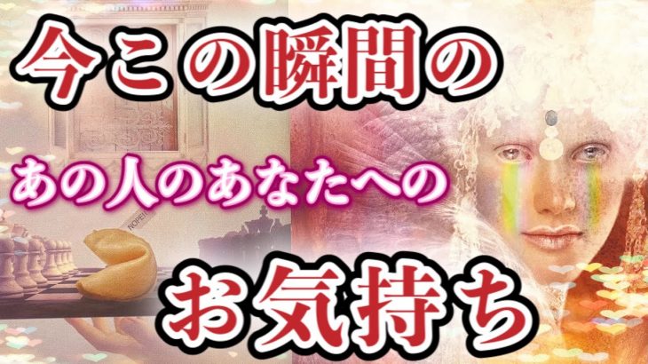 【恋愛タロット】❣️今この瞬間の、あの人のあなたへのお気持ち❣️怖いほど当たる⁉︎🤭【恋愛】【本音】【透視】【当たる】タロット占い&オラクルカードリーディング