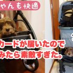 【素敵】今時のペットカートってすごいね！快適だわ。【シュナウザー】【子犬】#074