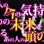 【恋愛タロット】あの人の今の気持ちと2人の未来を考えるあの人の頭の中❣動画に出会った時がタイミング⌚🌈🌸🎯怖いほど当たる細密リーディング【タロット占い3択】