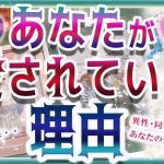 💜本格タロット恋愛💜深堀💗あなたが愛されている理由💖🥰💙💙オラクル