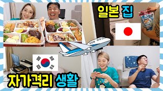 일본생활 자가격리 집콕 vlog [日韓カップル/한일커플]