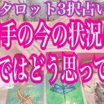 【恋愛タロット3択占い】お相手の今の状況は？本音ではあなたをどう思ってる？復縁、不倫、片思いの恋愛運を3択タロットリーディングで占い鑑定しました♩バランガン西原さゆり