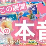 今この瞬間のあの人の本音✨恋愛リーディング💌アルケミアタロットで占います🧸